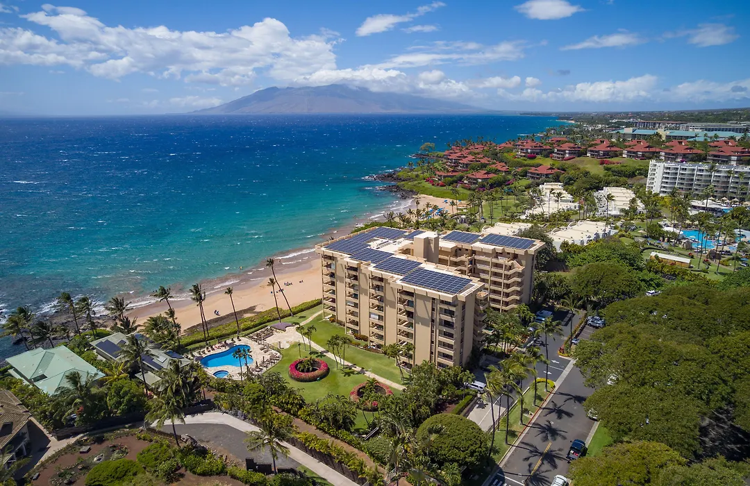 Polo Beach Club-1